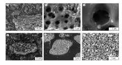 臭氧高級催化氧化降解鹽酸四環(huán)素實驗